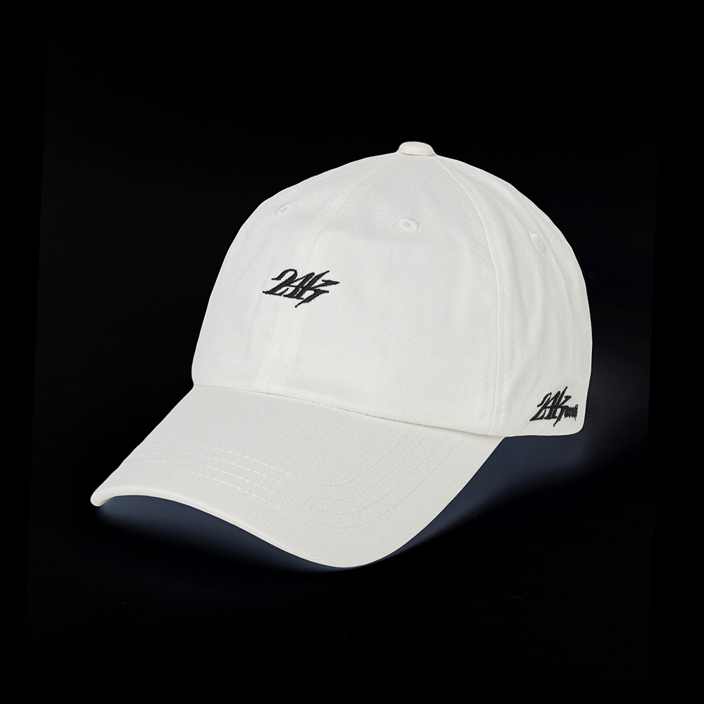 6-PANEL LOGO CAP 詳細画像 O.White 4