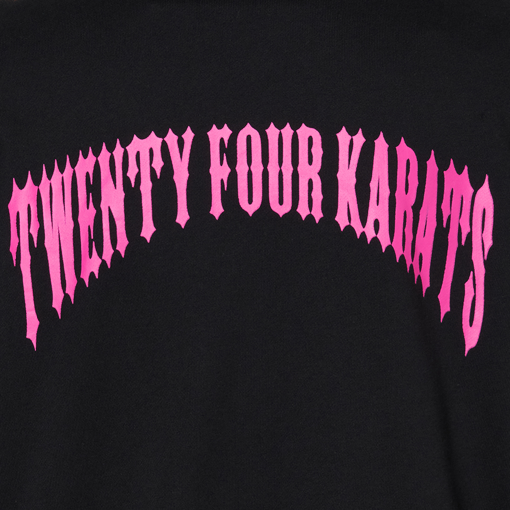 COLORWAY GRAPHIC PULLOVER HOODIE 詳細画像 Pink 14