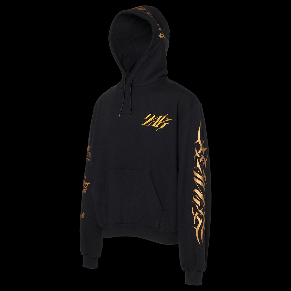 COLORWAY GRAPHIC PULLOVER HOODIE 詳細画像 Gold 3