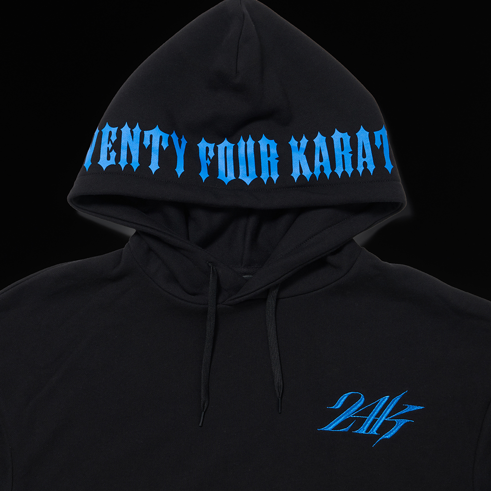 COLORWAY GRAPHIC PULLOVER HOODIE 詳細画像 Blue 9