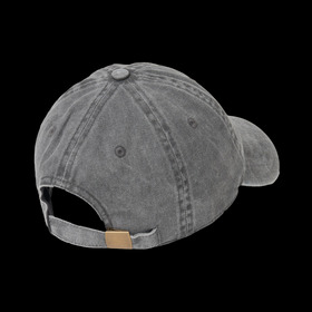 PIGMENT 6-PANEL CAP 詳細画像