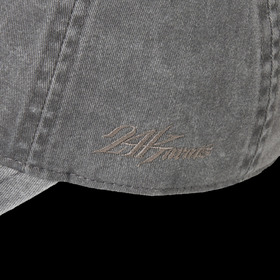 PIGMENT 6-PANEL CAP 詳細画像