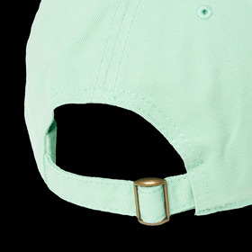 PIGMENT 6-PANEL CAP 詳細画像