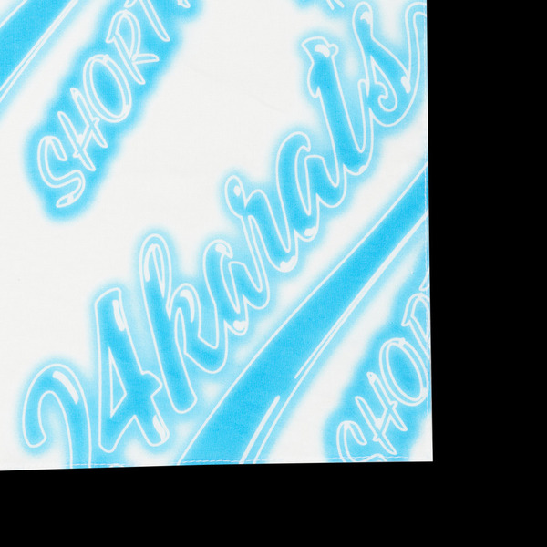 AIR BRUSH BANDANA 詳細画像 L.Blue 6